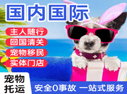 长春龙嘉航空邮寄国际宠物托运 【国